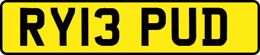 RY13PUD