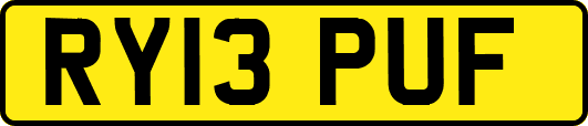 RY13PUF