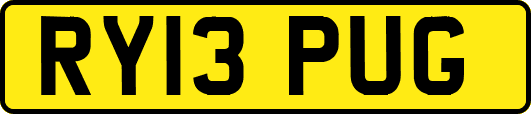 RY13PUG