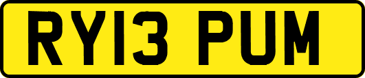 RY13PUM