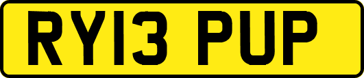 RY13PUP