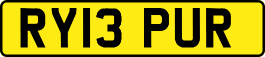RY13PUR