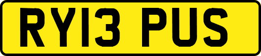 RY13PUS