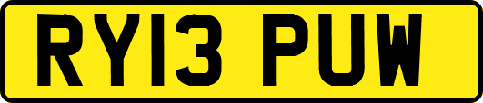 RY13PUW