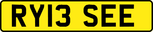 RY13SEE