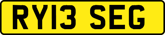 RY13SEG