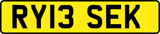 RY13SEK