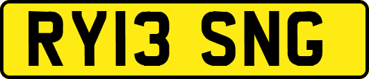 RY13SNG