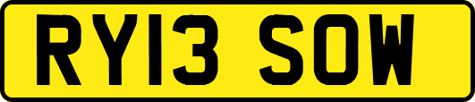 RY13SOW