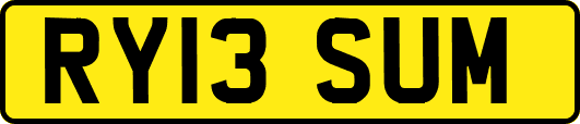 RY13SUM