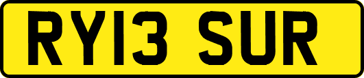 RY13SUR