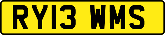 RY13WMS