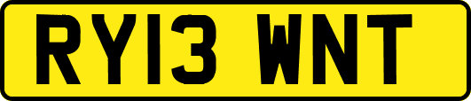 RY13WNT