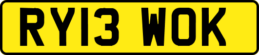 RY13WOK