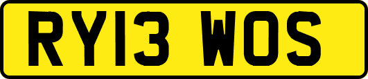 RY13WOS