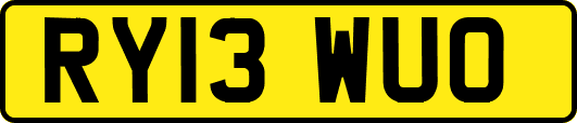 RY13WUO