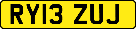 RY13ZUJ