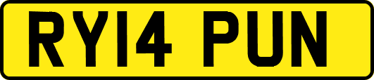 RY14PUN