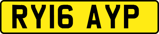 RY16AYP