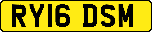 RY16DSM