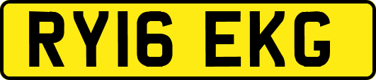 RY16EKG