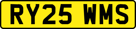 RY25WMS