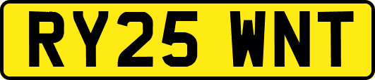 RY25WNT