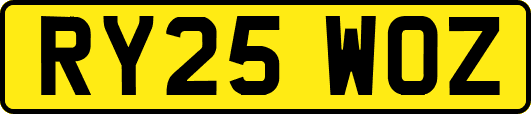 RY25WOZ