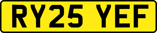 RY25YEF