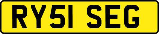 RY51SEG