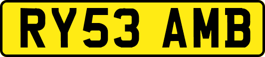 RY53AMB