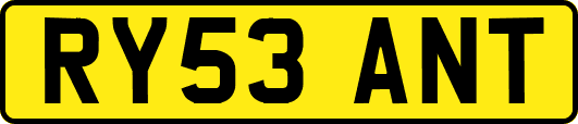 RY53ANT