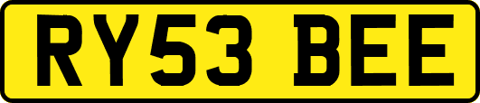 RY53BEE