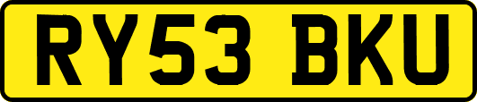 RY53BKU