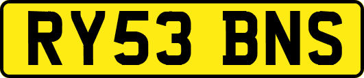 RY53BNS