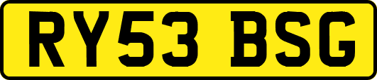 RY53BSG