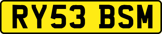 RY53BSM