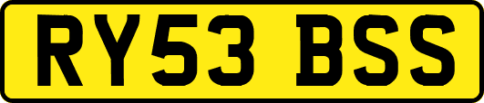 RY53BSS