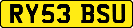 RY53BSU