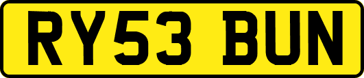 RY53BUN