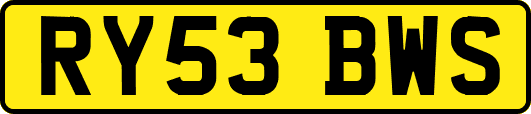 RY53BWS