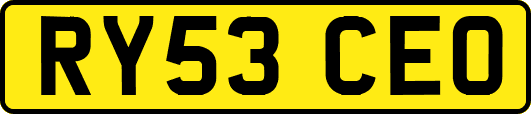RY53CEO