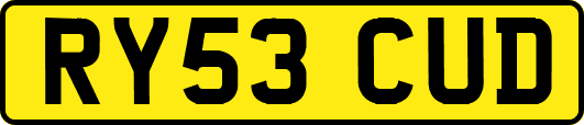 RY53CUD