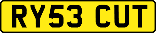 RY53CUT