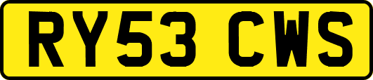 RY53CWS