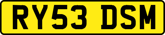 RY53DSM