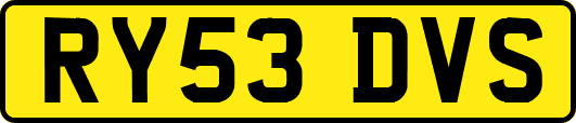 RY53DVS