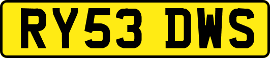 RY53DWS