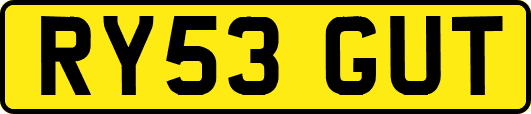 RY53GUT