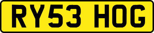 RY53HOG